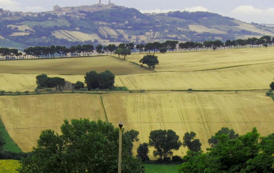 B&B Lieti Colli Porto Recanati Exterior photo